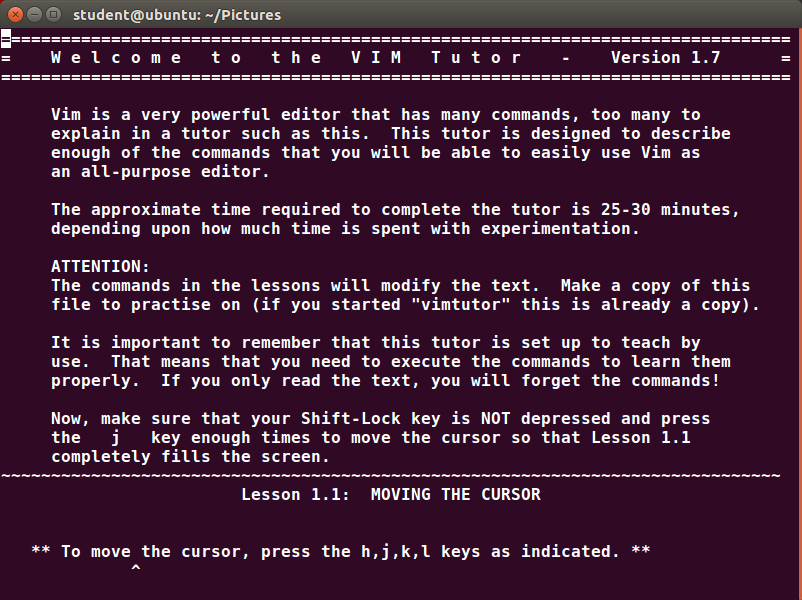 vimtutorubuntu
