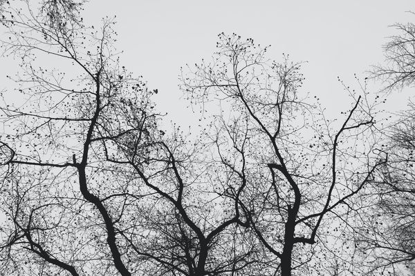 Come cambiare il nome di un branch locale  in Git