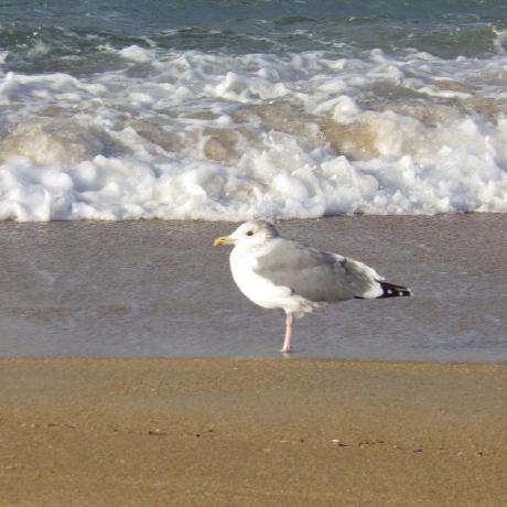 優れた技術講座動画の作り方