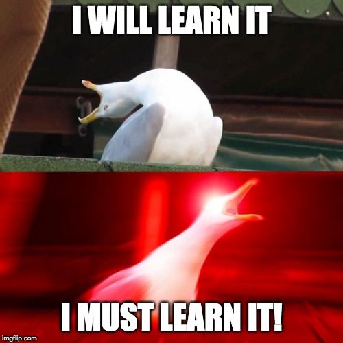 i-must-learn-it