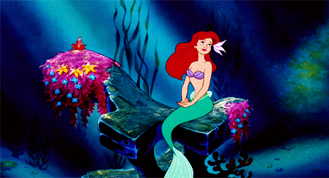 The Coding Mermaid – How I Went from Marine Biologist to Front End ...