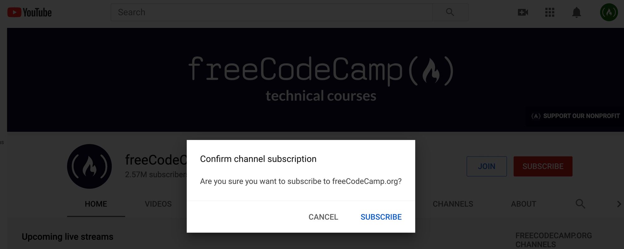 freeCodeCamp_org_-_YouTube