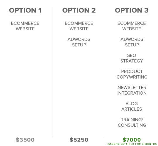 price-options-website