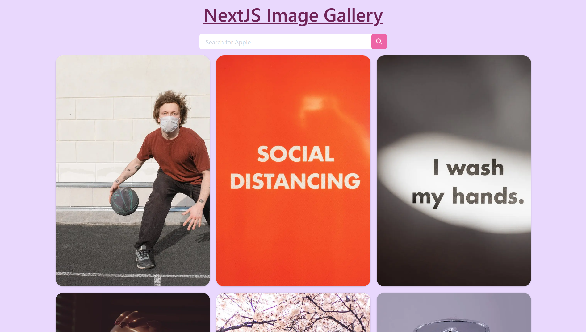 How to Build an Image Gallery with Next using Pexels API and Chakra UI