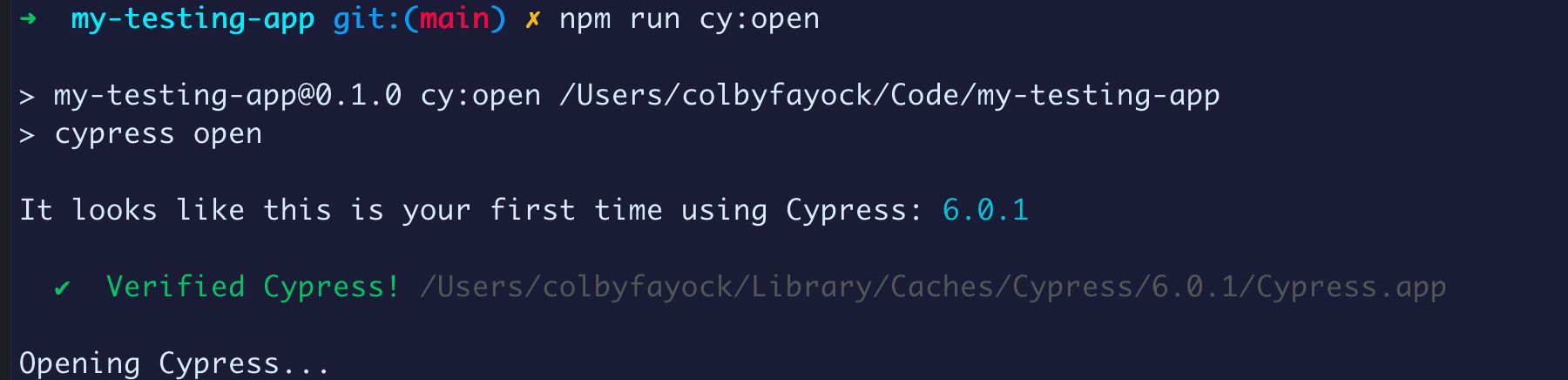 opening-cypress-in-terminal