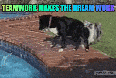 teamwork_makes_the_dream_work
