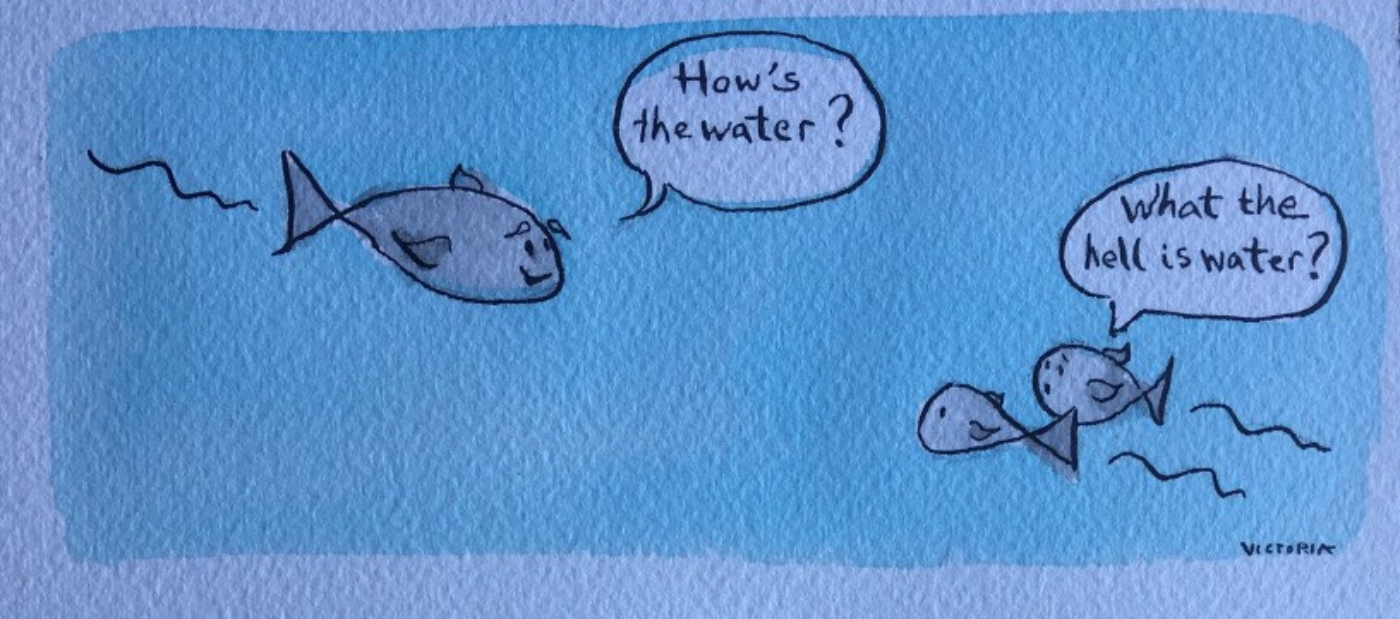fish-in-water