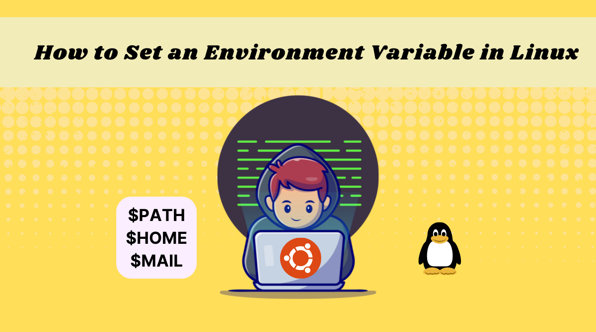 How to an Environment Variable in Linux