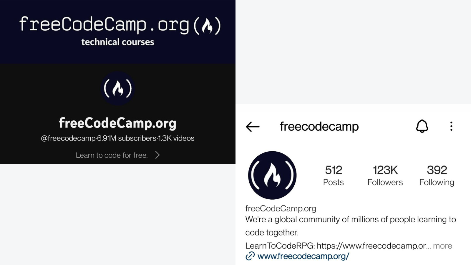 freeCodeCamp's YouTube and Instagram profiles using compact number format.