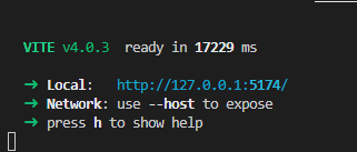 The message you get after running your Vite server that provides localhost link, network and help.