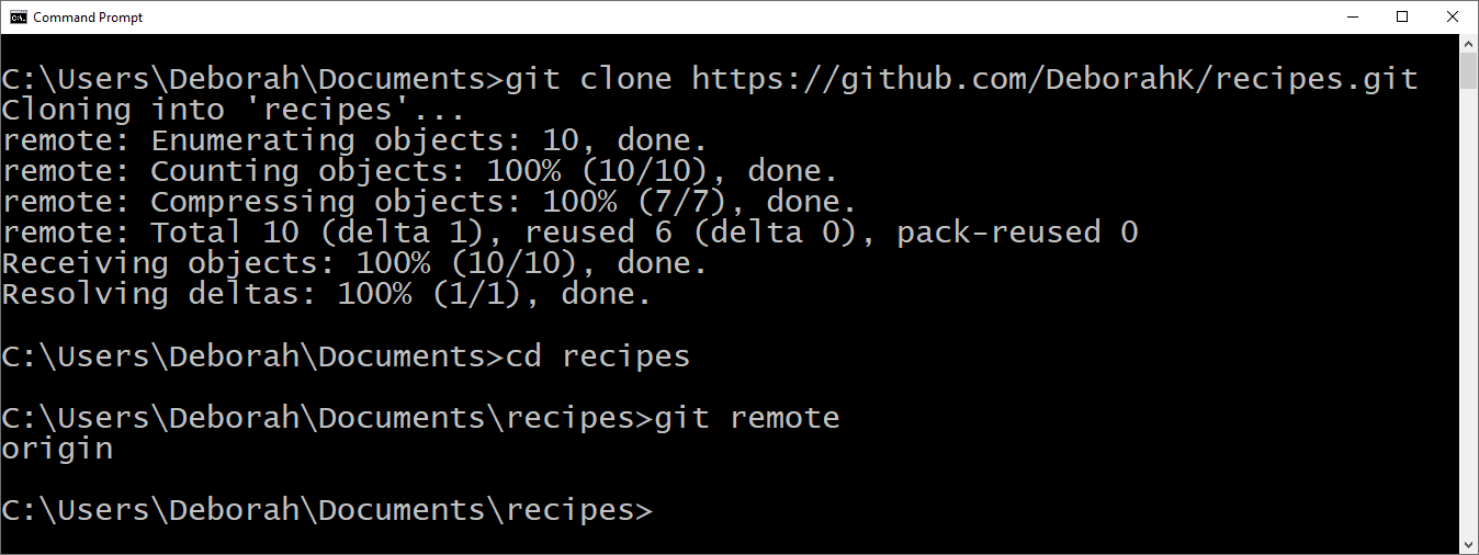 The result of cloning a repository.