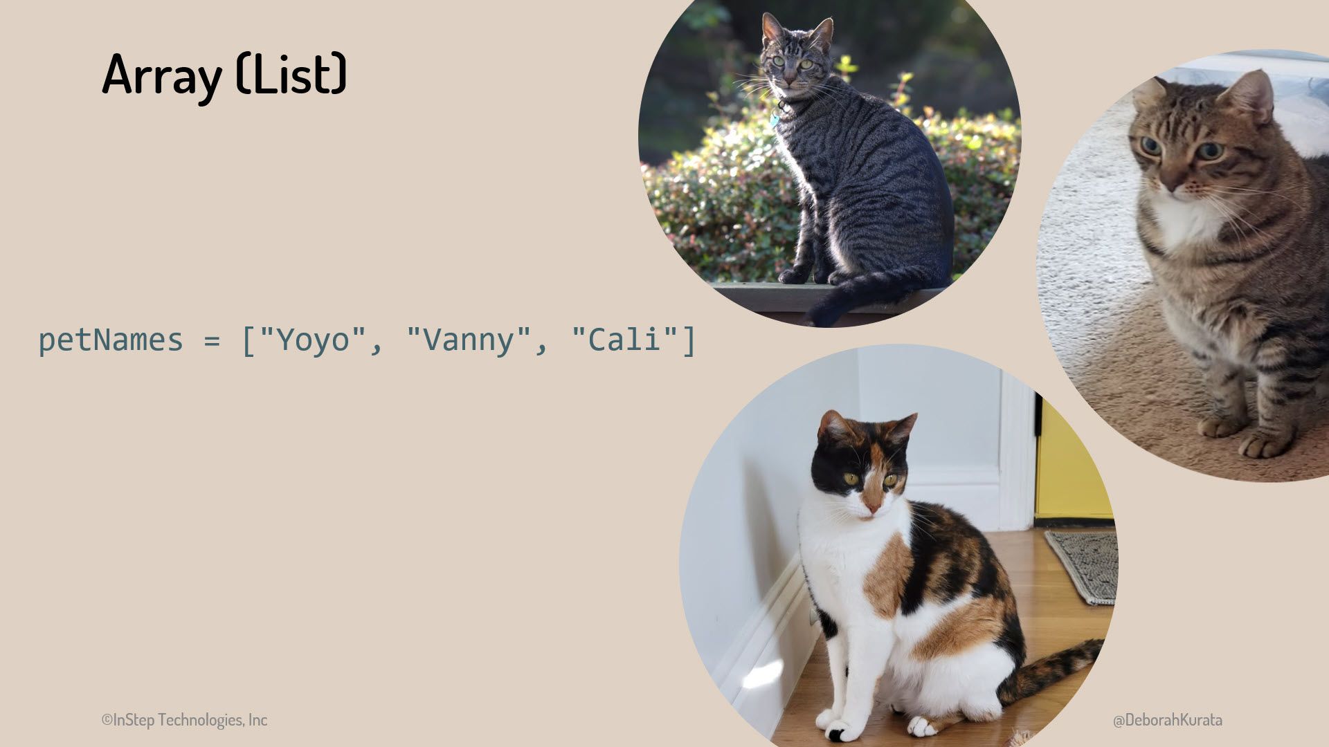 Pictures of three cats with a single array to hold the name of each cat.