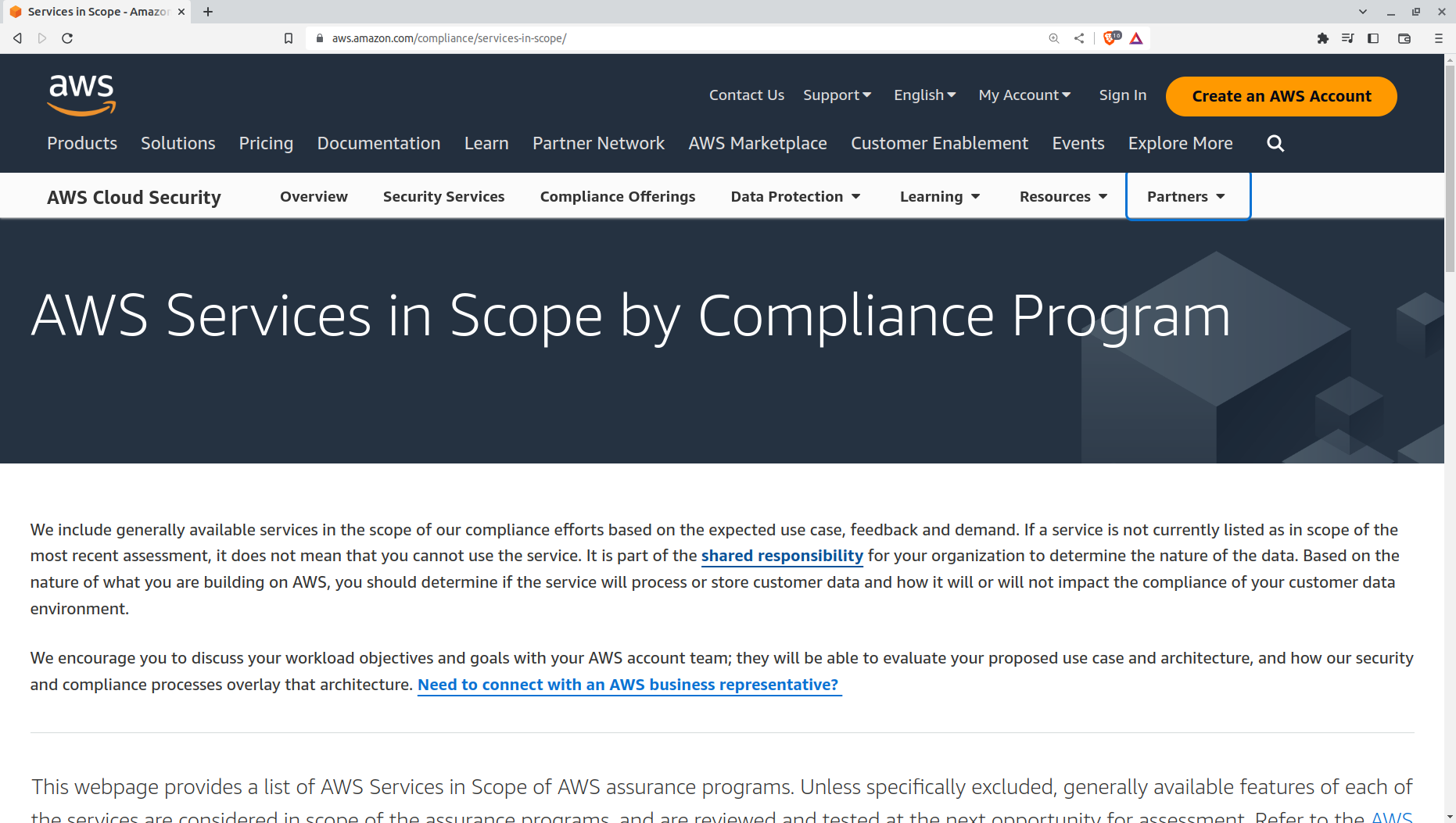 services_in_scope