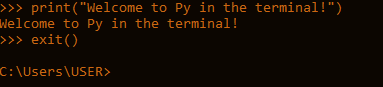 py-in-terminal-exit