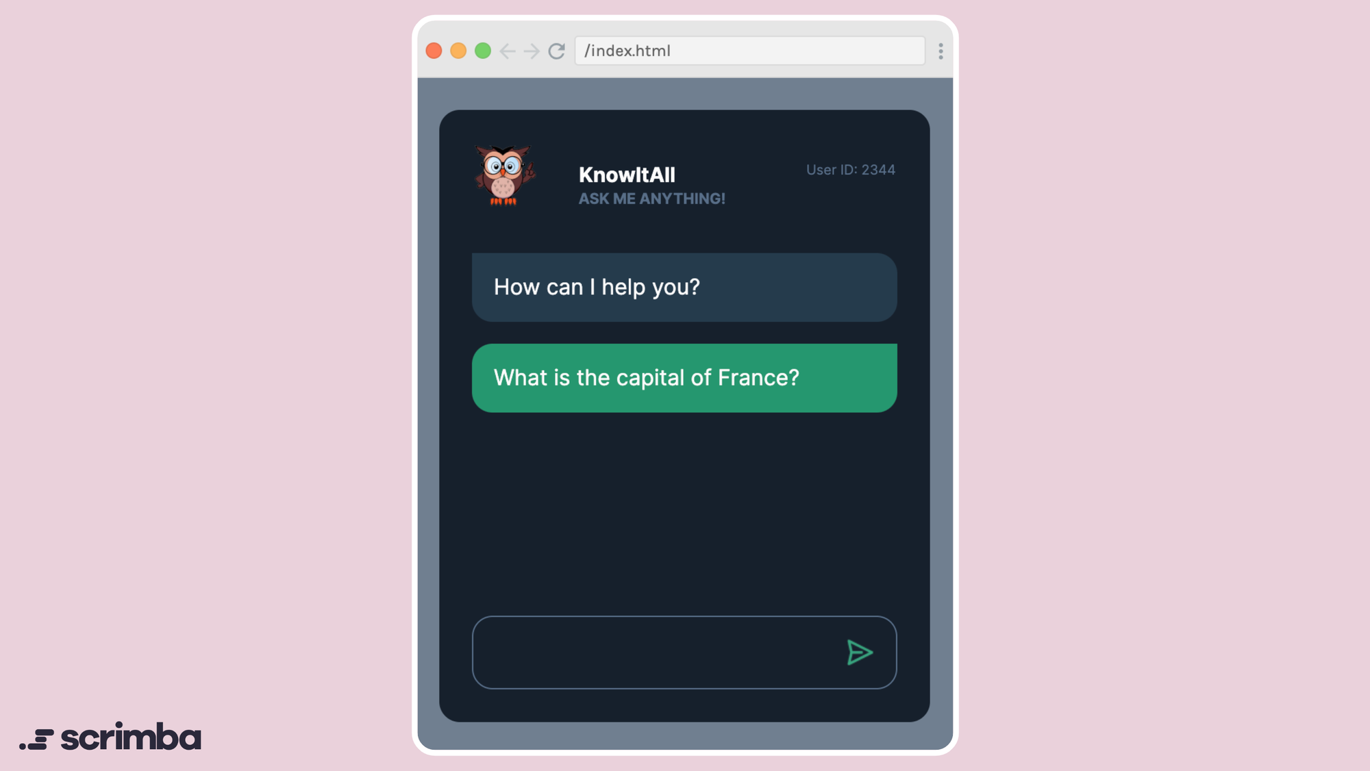 Chatbot with question from the user.