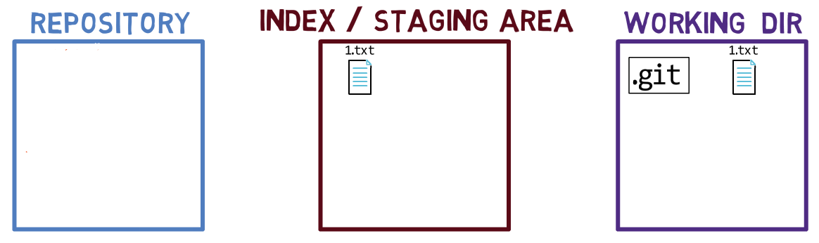 Using  stages the file so it is now in the index as well