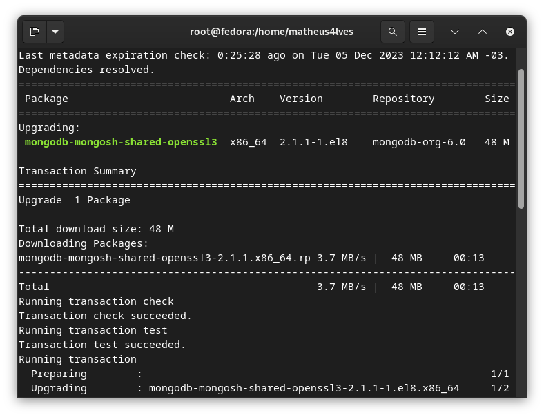 Screenshot of the mongodb-mongosh-shared-openssl3 package being automatically updated with the operating system.