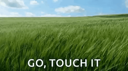 Touch-grass