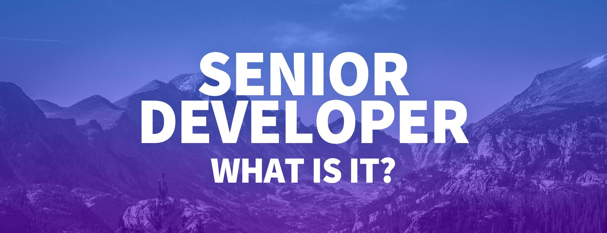 What Is a Senior Developer and How Can I Become One?