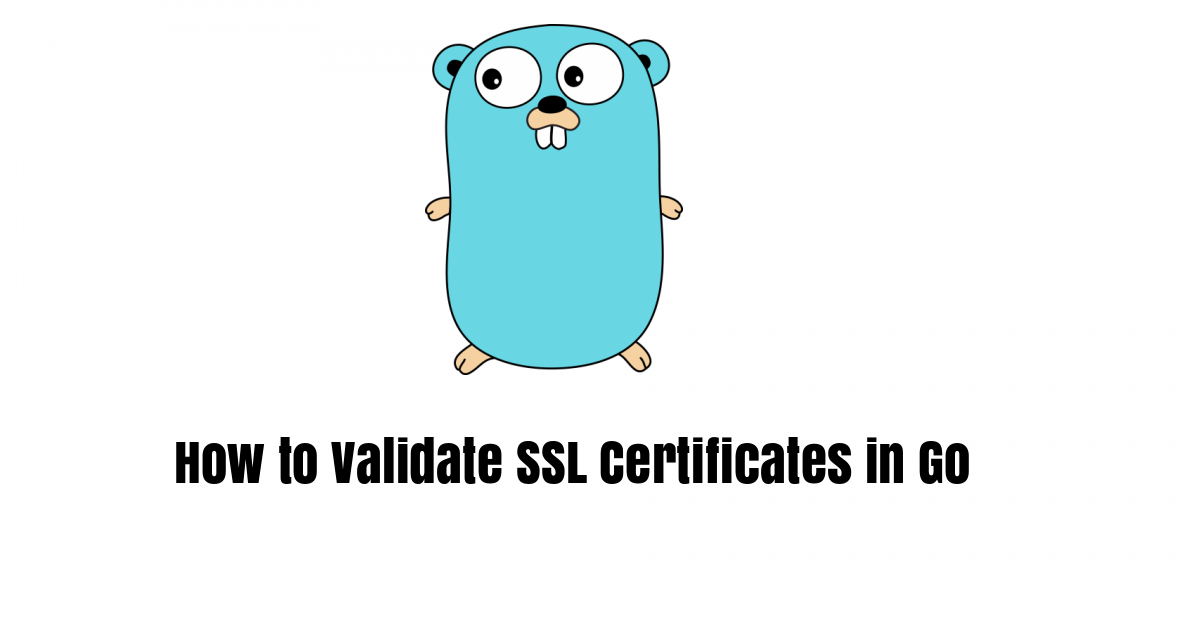 How to Validate SSL Certificates in Go