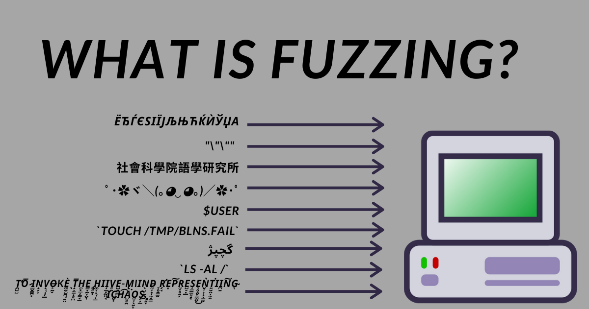 What is Fuzzing? Fuzz Testing Explained with Examples