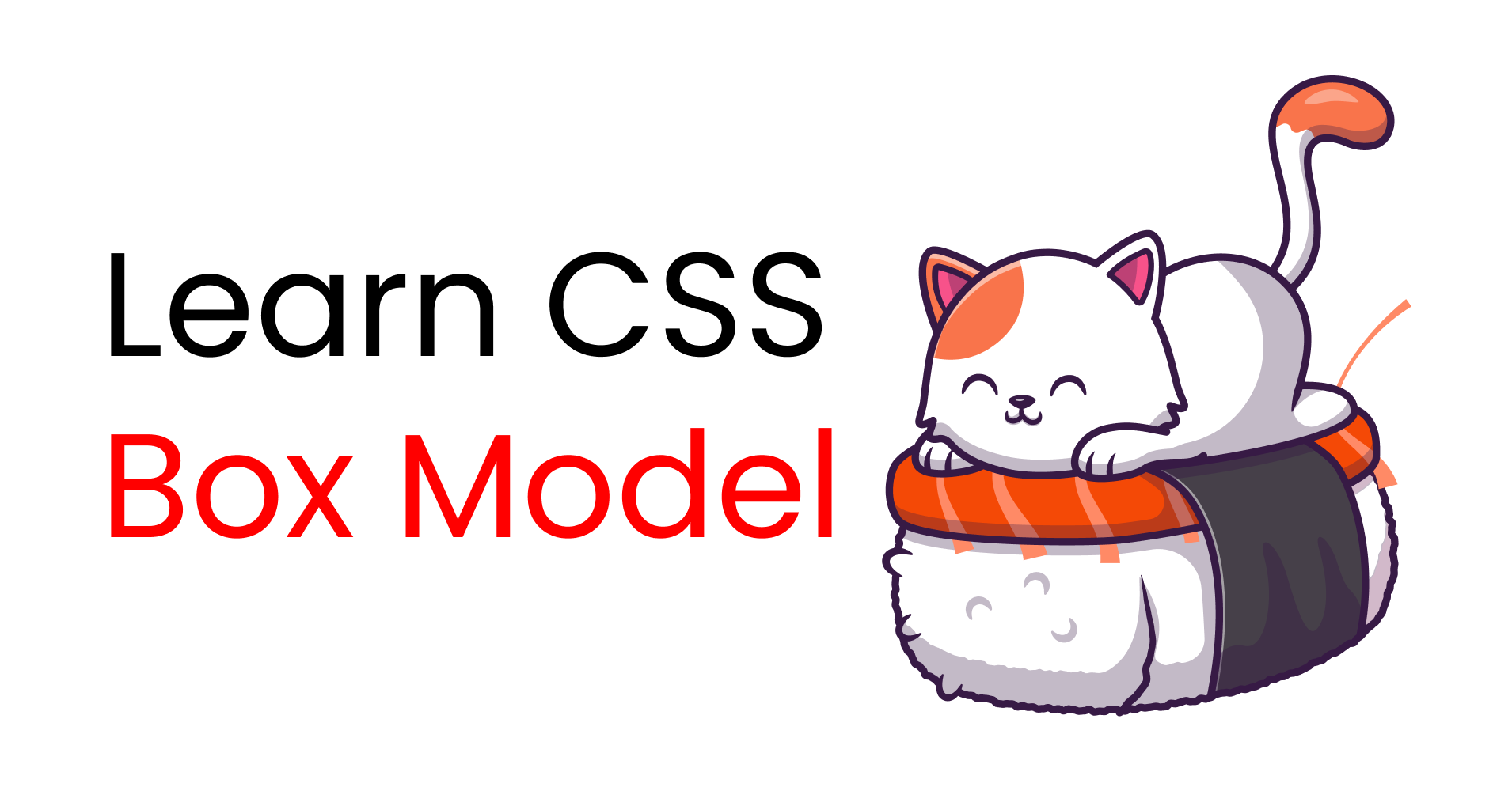 CSS Box Model Properties – Explained With Examples ✨