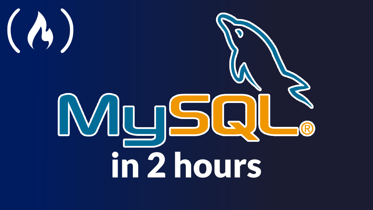 Learn to Use the MySQL Database