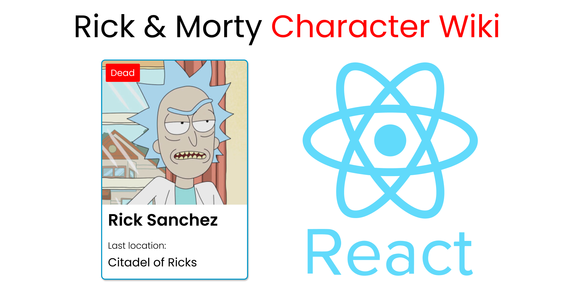 ReactJS Project – Build a Rick and Morty Character Wiki