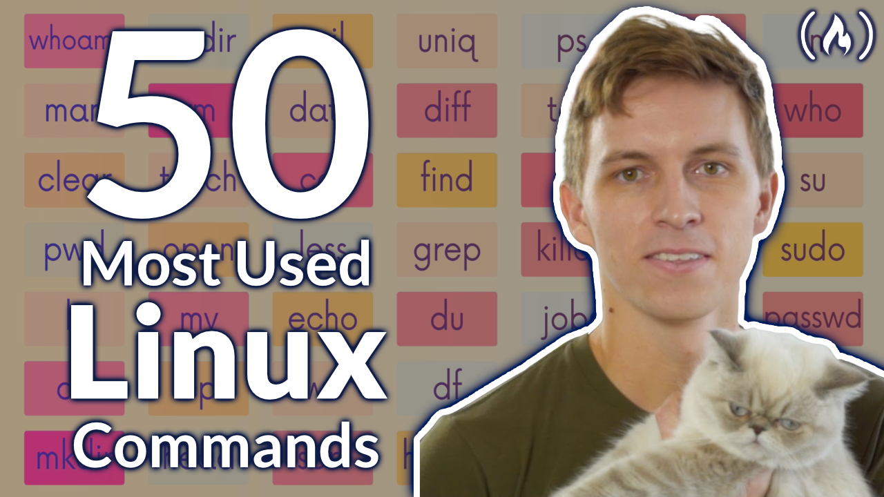 Learn the 50 Most-Used Linux & Terminal Commands