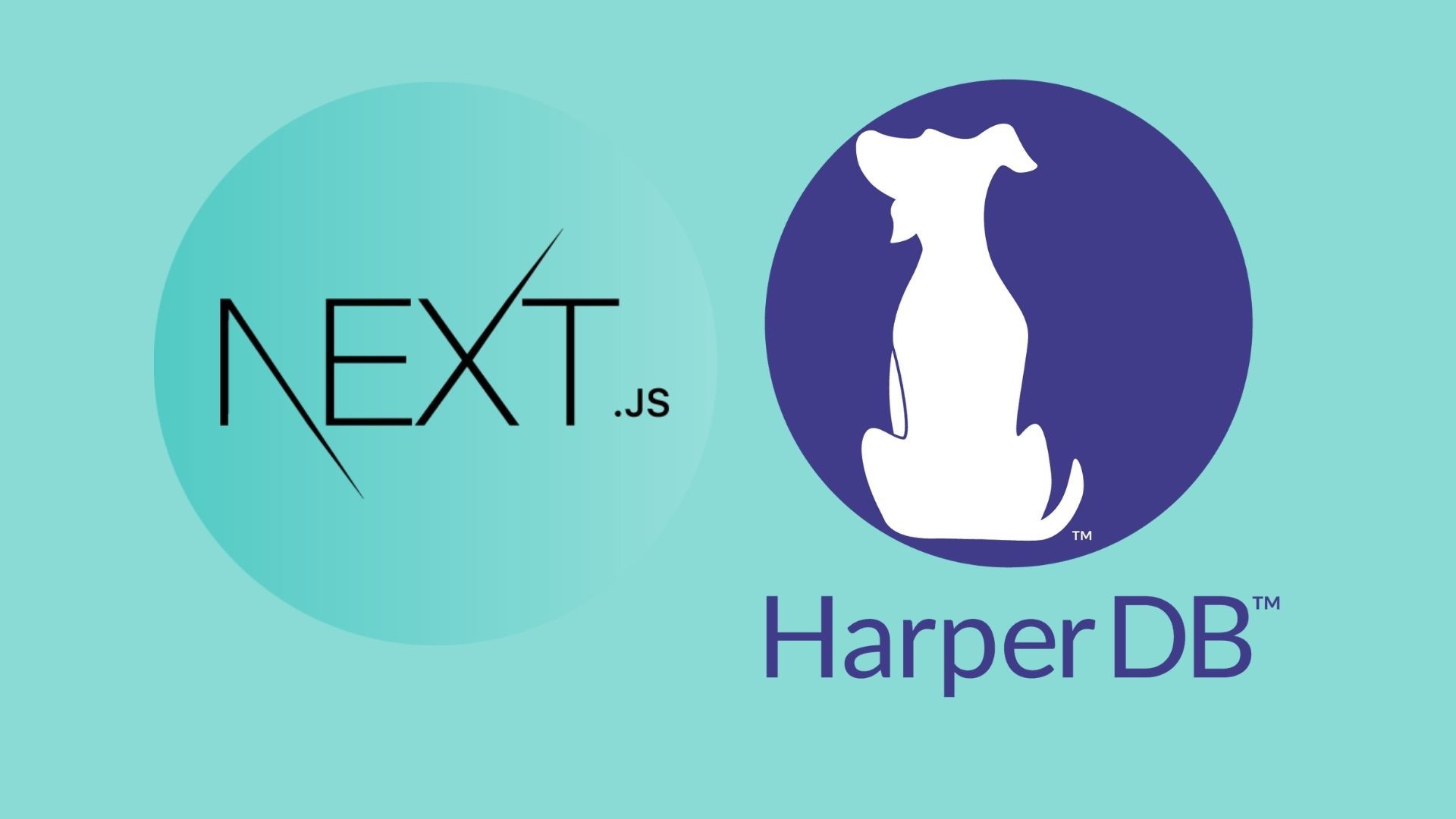 NextJS and HarperDB Tutorial –Build a Full Stack Productivity Timer App