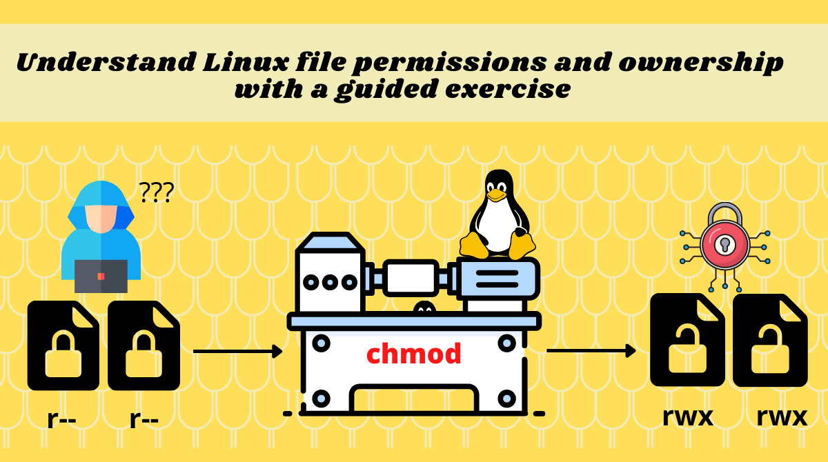 Linux chmod and chown – How to Change File Permissions and Ownership in Linux