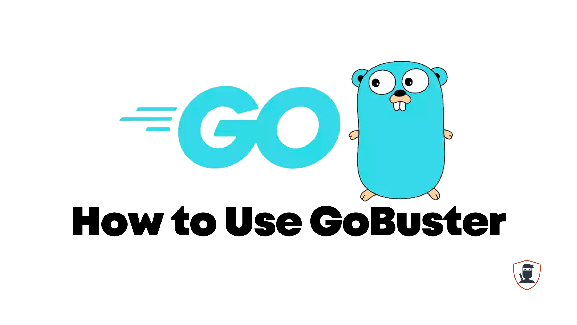 Gobuster Tutorial – How to Find Hidden Directories, Sub-Domains, and S3 Buckets