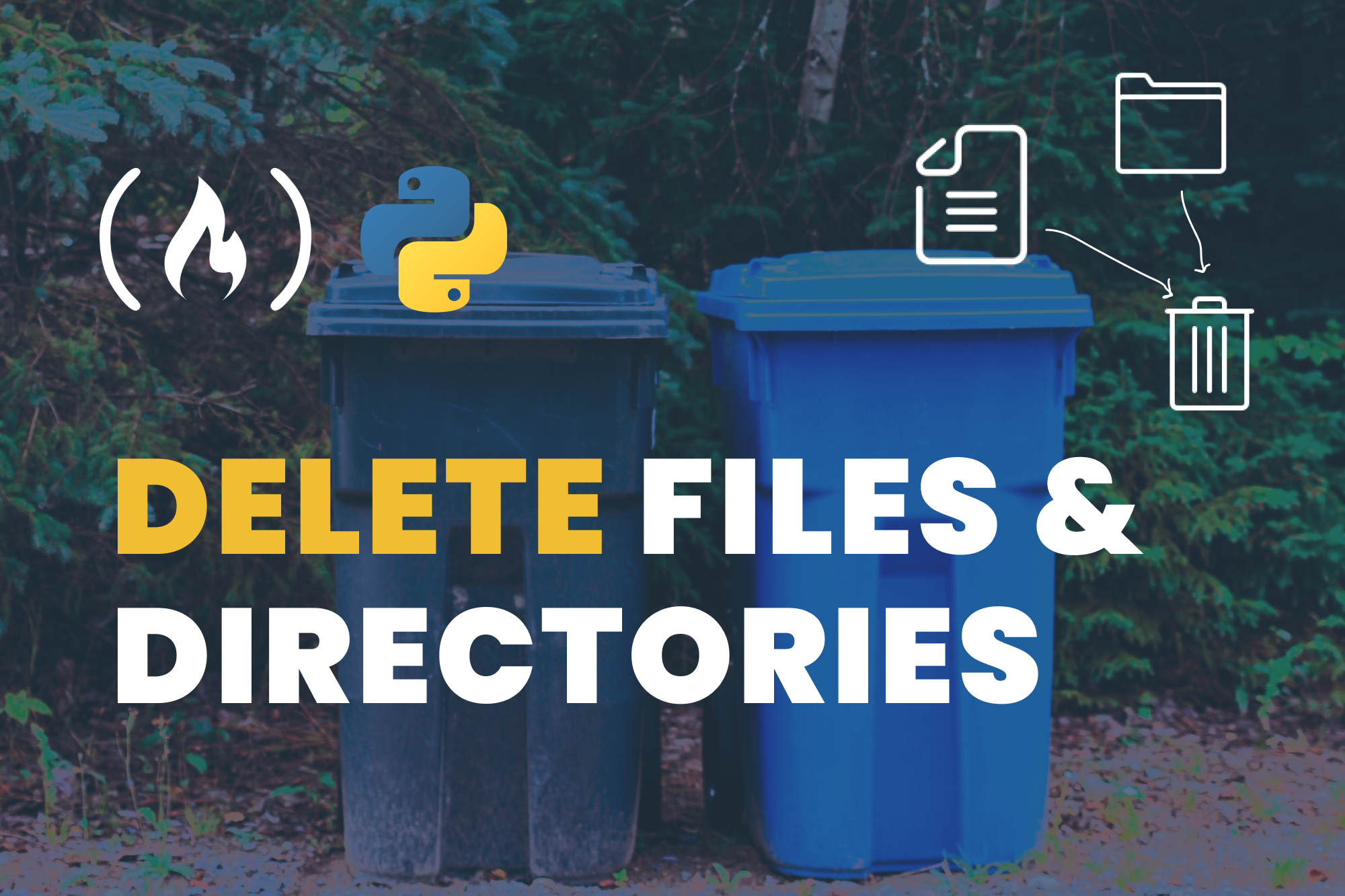 How to Delete a File in Python – And Remove a Directory, Too