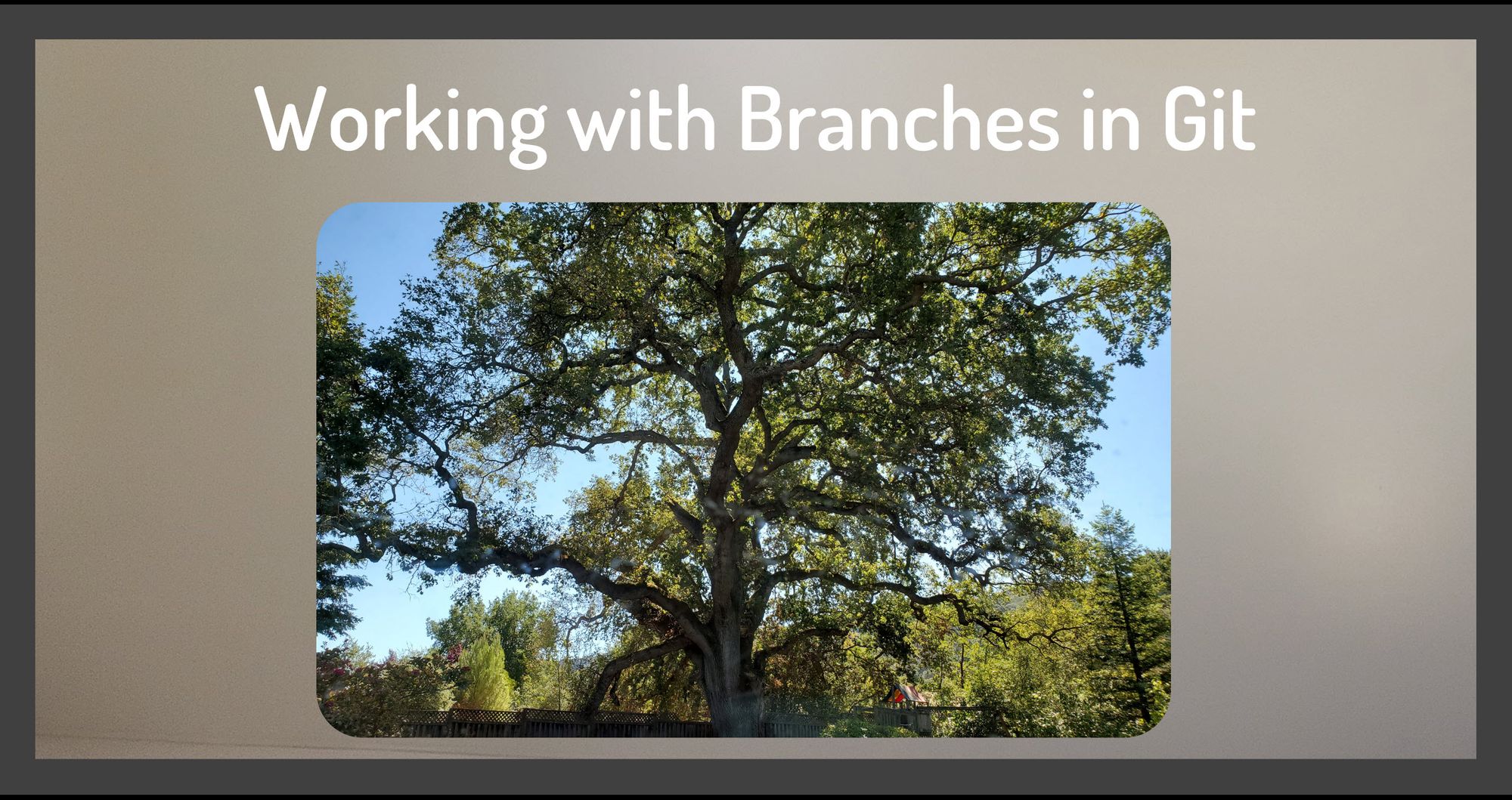 How to Work with Branches in Git