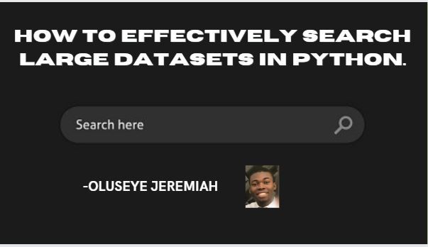How to Effectively Search Large Datasets in Python