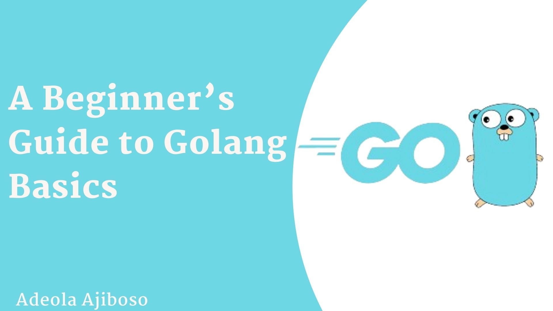 Image for How to Learn Golang – A Beginner's Guide to the Basics