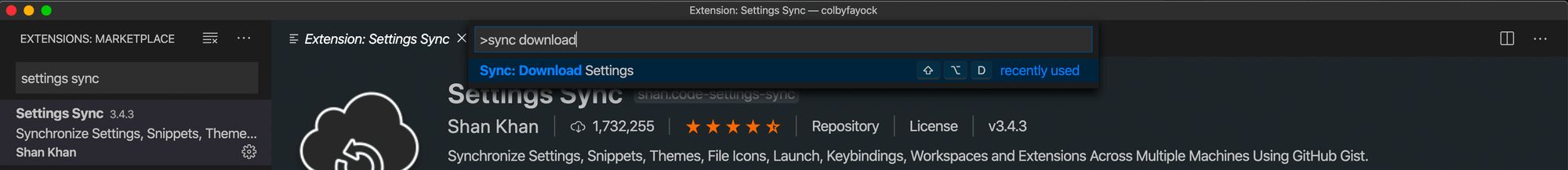 vs-code-settings-sync-download-command