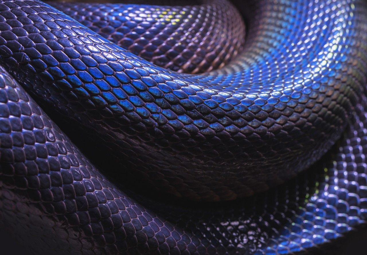 if __name__ == __main__ em Python explicado com exemplos de código