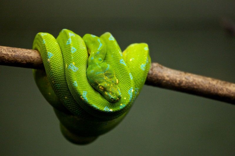 O que se vê em um __name__ em Python?