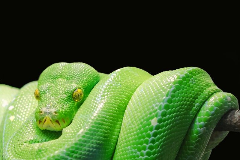 Se você tiver loops lentos em Python, você pode consertá-los…até não poder mais