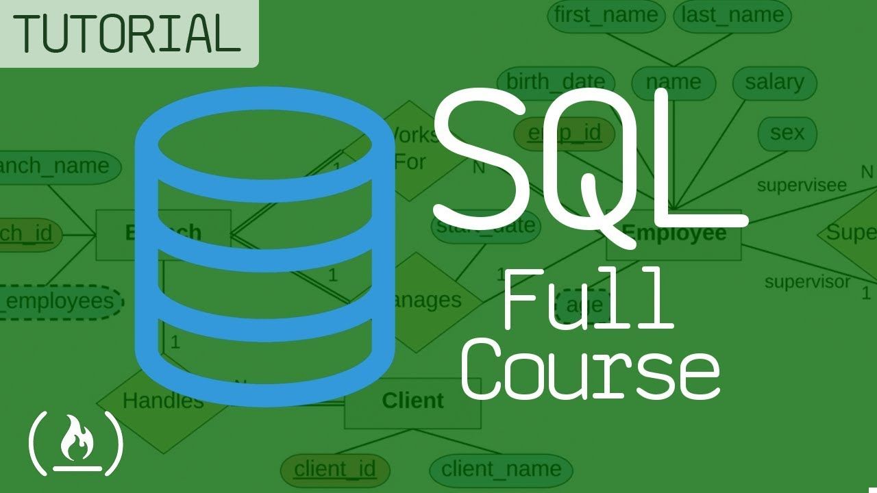 SQL e bancos de dados – um curso completo para iniciantes